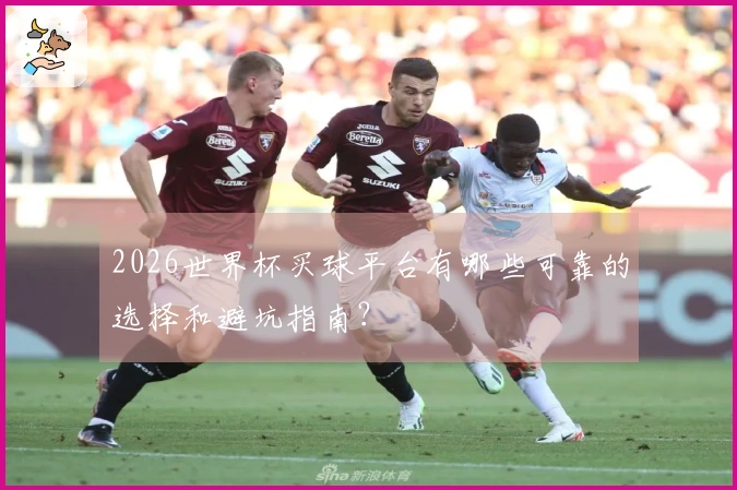 2026世界杯买球平台有哪些可靠的选择和避坑指南？
