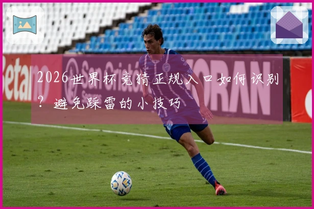 2026世界杯竞猜正规入口如何识别？避免踩雷的小技巧