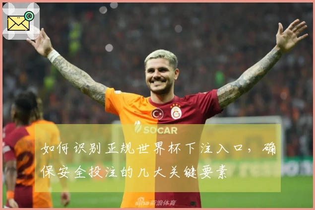 如何识别正规世界杯下注入口，确保安全投注的几大关键要素