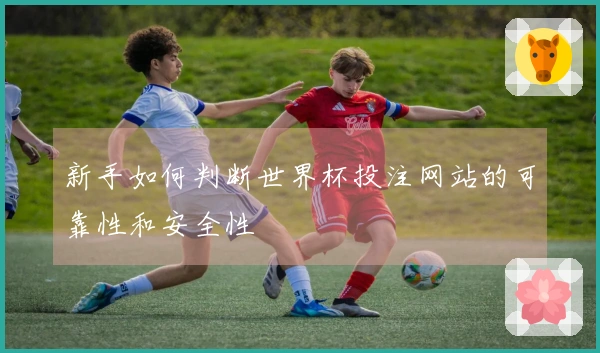 新手如何判断世界杯投注网站的可靠性和安全性