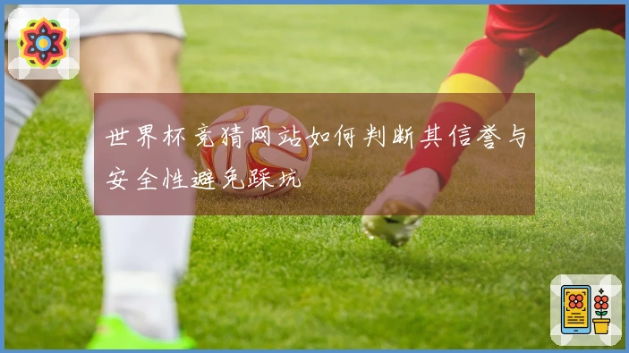 世界杯竞猜网站如何判断其信誉与安全性避免踩坑