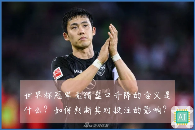 世界杯冠军竞猜盘口升降的含义是什么？如何判断其对投注的影响？