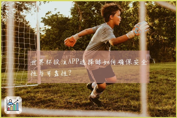 世界杯投注APP选择时如何确保安全性与可靠性？
