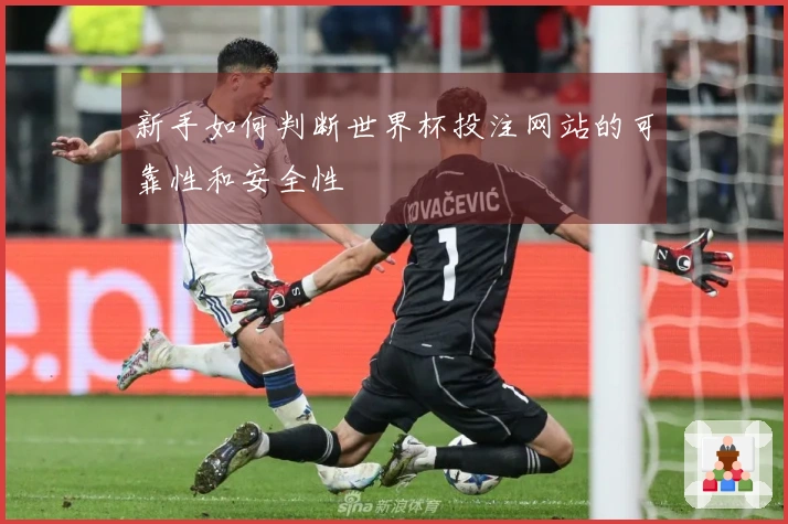 新手如何判断世界杯投注网站的可靠性和安全性