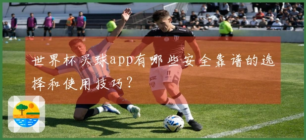世界杯买球app有哪些安全靠谱的选择和使用技巧？