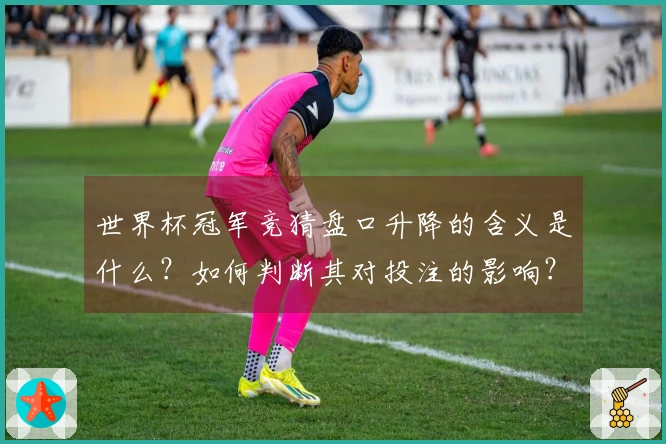 世界杯冠军竞猜盘口升降的含义是什么？如何判断其对投注的影响？