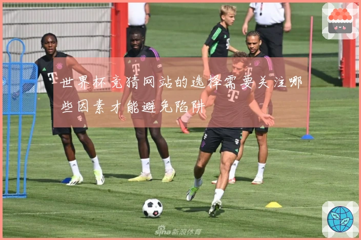 世界杯竞猜网站的选择需要关注哪些因素才能避免陷阱