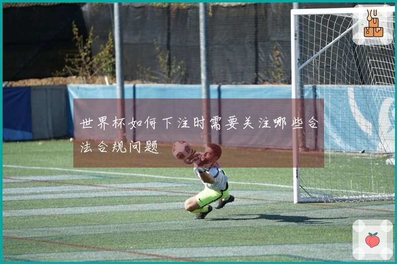 世界杯如何下注时需要关注哪些合法合规问题