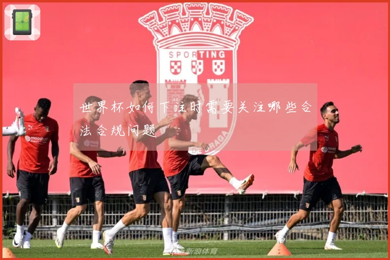 世界杯如何下注时需要关注哪些合法合规问题