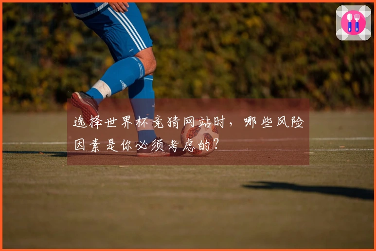 选择世界杯竞猜网站时,哪些风险因素是你必须考虑的?