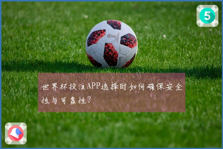 世界杯投注APP选择时如何确保安全性与可靠性？