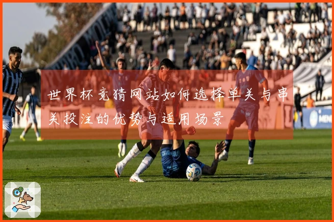 世界杯竞猜网站如何选择单关与串关投注的优势与适用场景