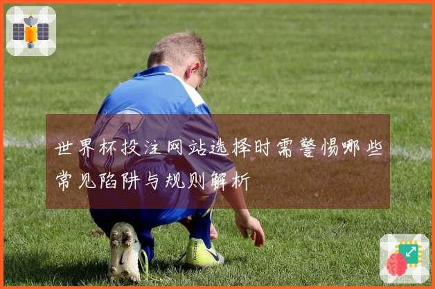 世界杯投注网站选择时需警惕哪些常见陷阱与规则解析