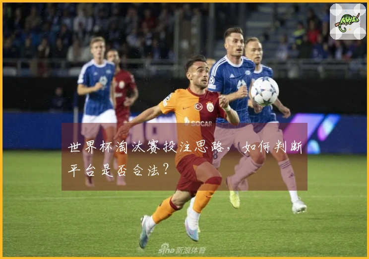 世界杯淘汰赛投注思路，如何判断平台是否合法？
