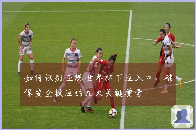 如何识别正规世界杯下注入口，确保安全投注的几大关键要素