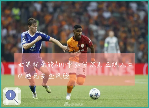 世界杯竞猜App中如何识别正规入口以避免安全风险